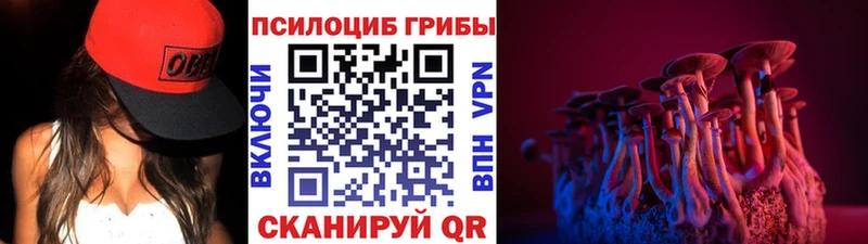 продажа наркотиков  hydra   Псилоцибиновые грибы ЛСД  Сунжа 