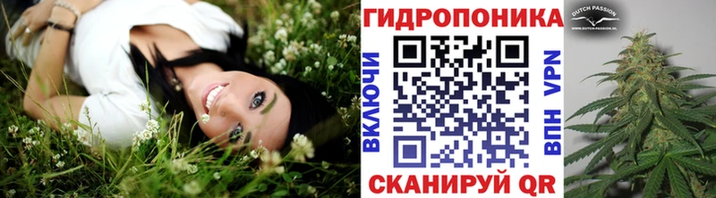 МАРИХУАНА SATIVA & INDICA Сунжа